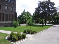 Neuanlage Klostergarten